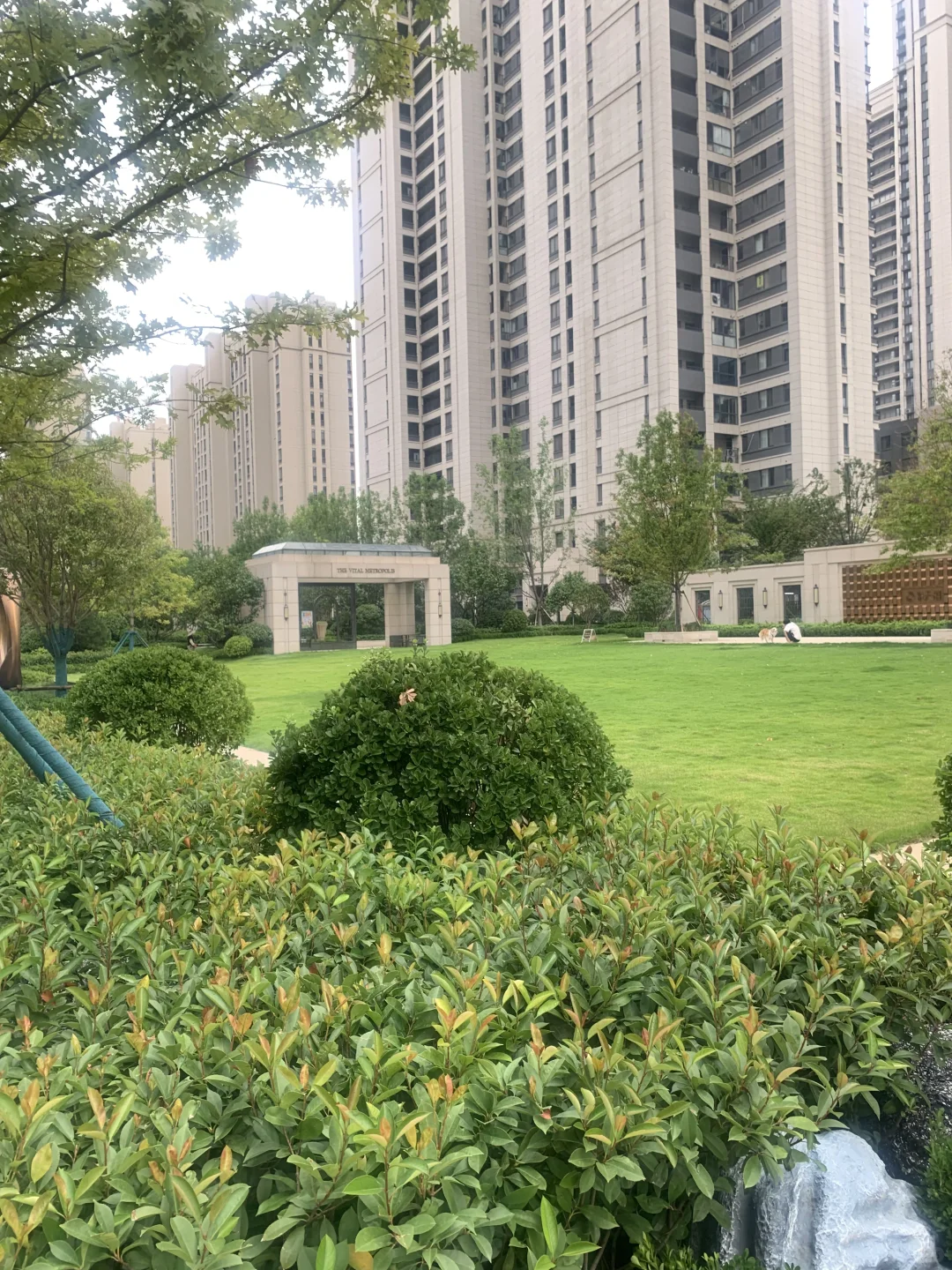 低密花园电梯洋房 主城芯 悦生活