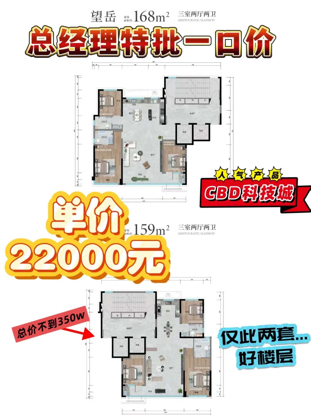 158平 CBD新房 单价2.2万