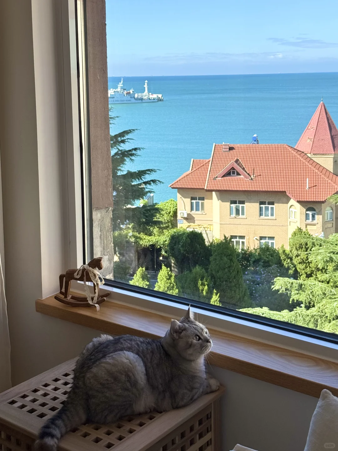 长大真好，可以住进喜欢的房子