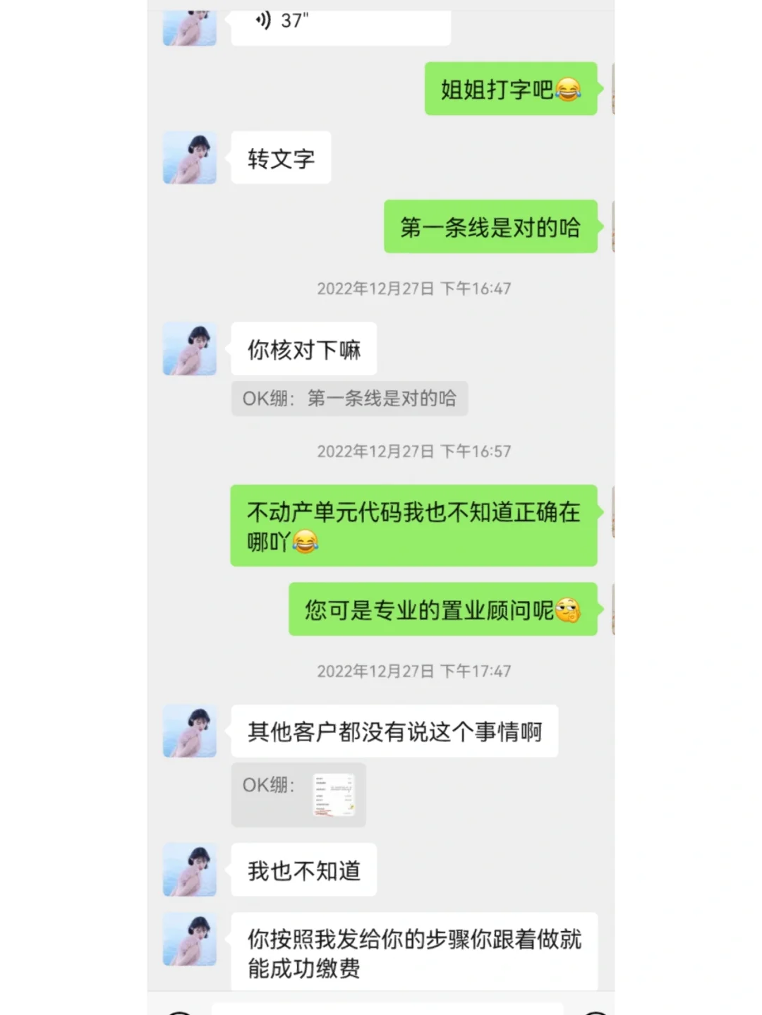 大冤种的置业顾问（一）