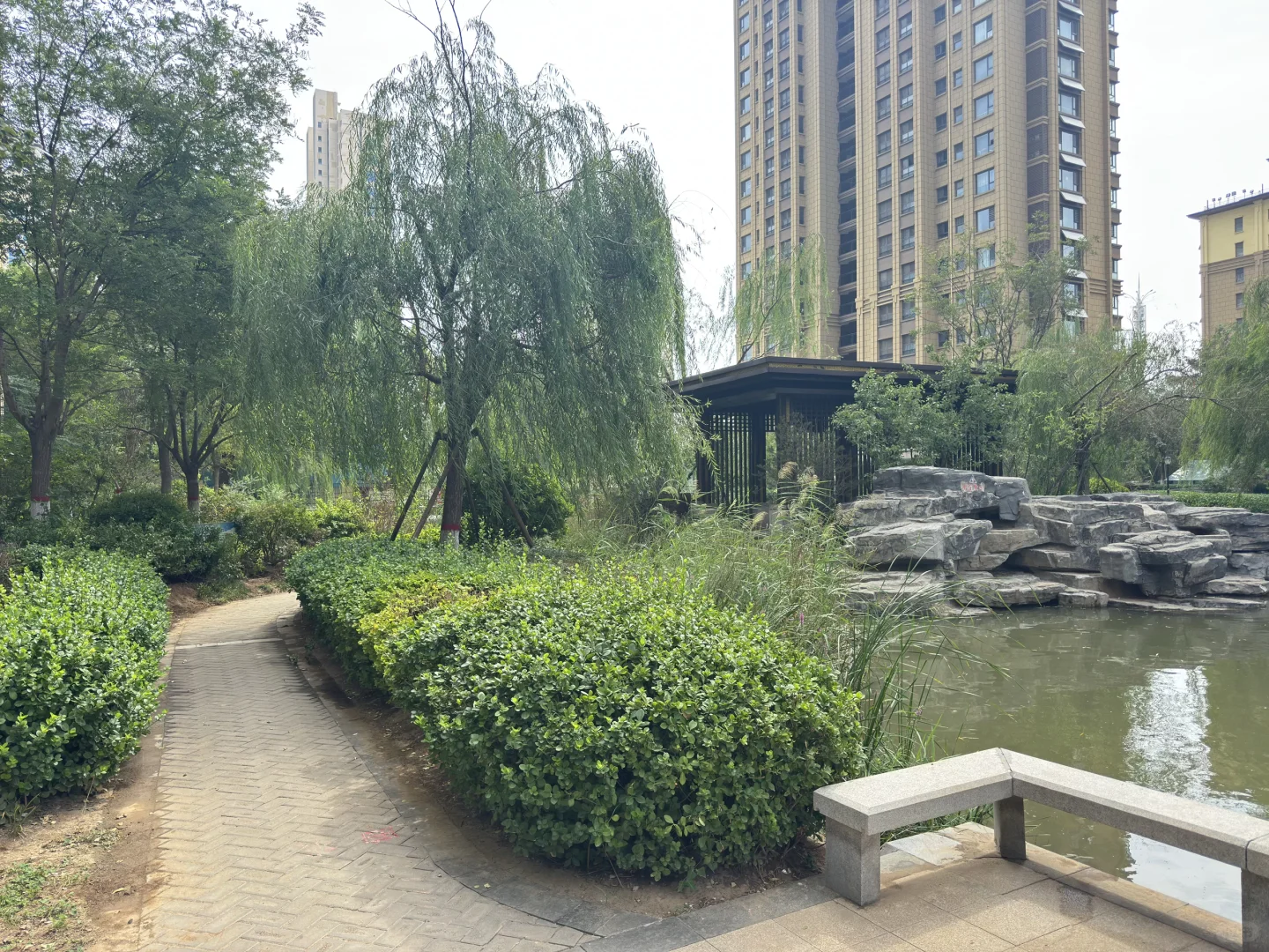 房东直租｜邯郸中华大街110㎡双朝南三室