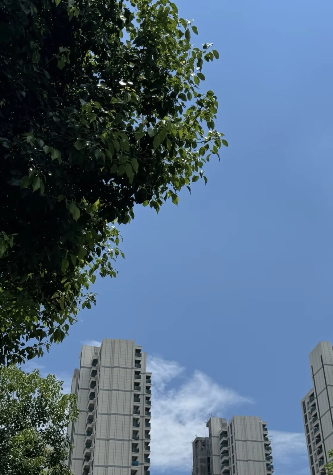 地铁口精装准现房，直降5千一平米。