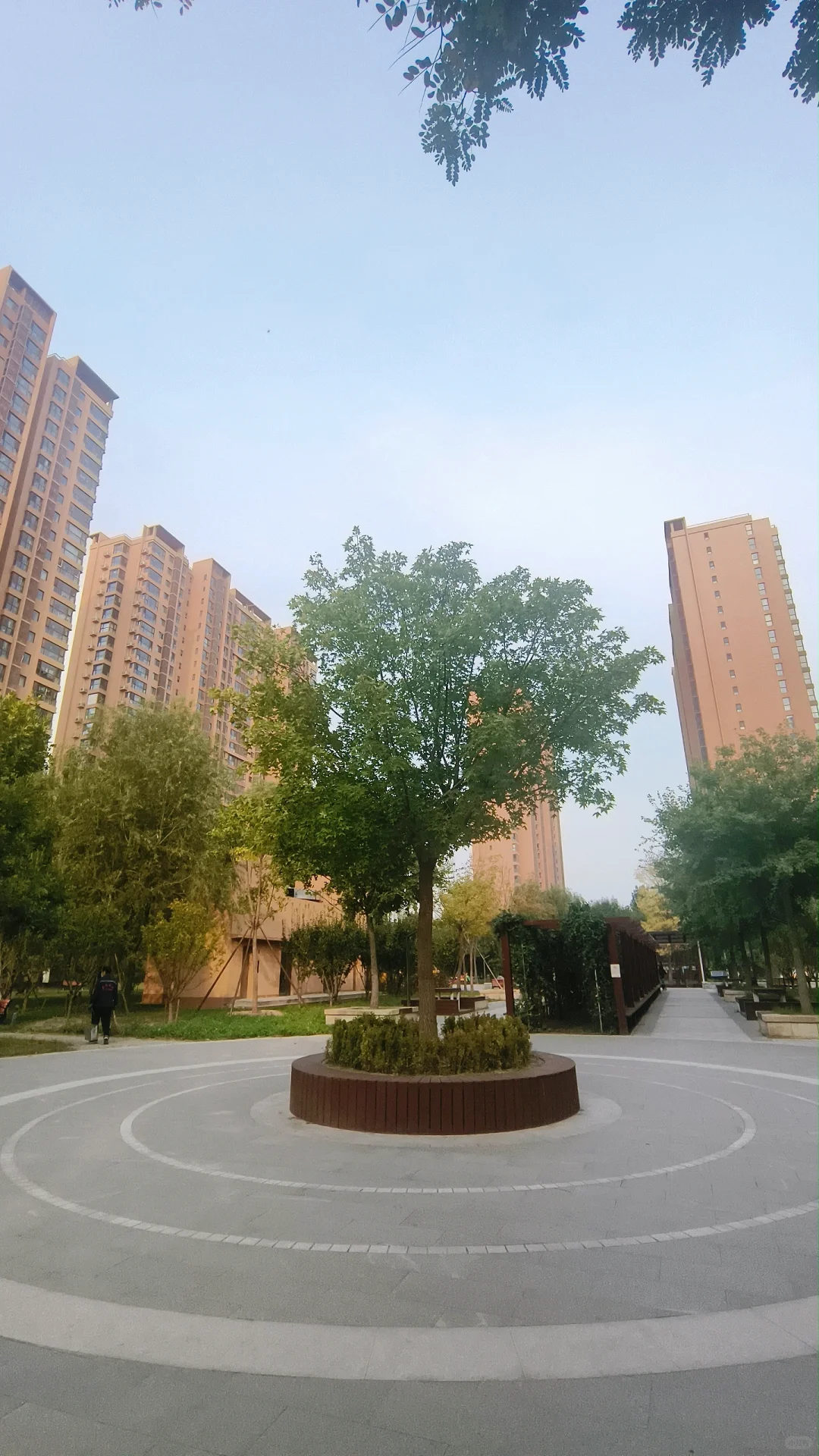 回迁房路上4大巨坑，最后一个根本想不到！