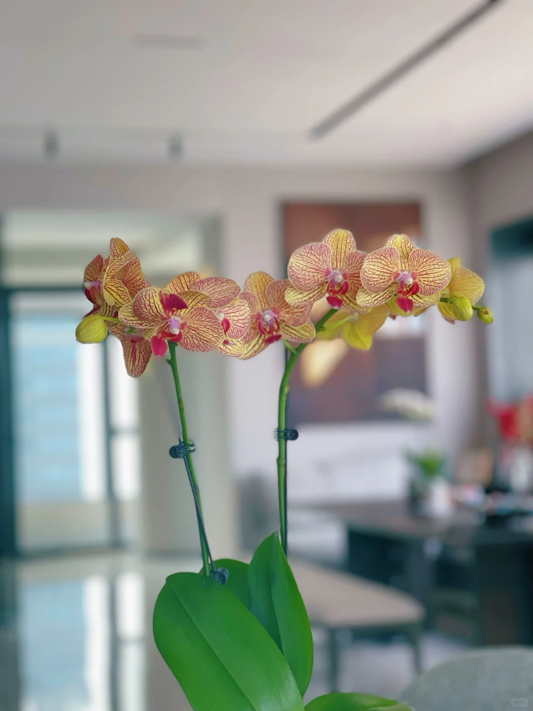 不谈预算说买房的都是耍流氓