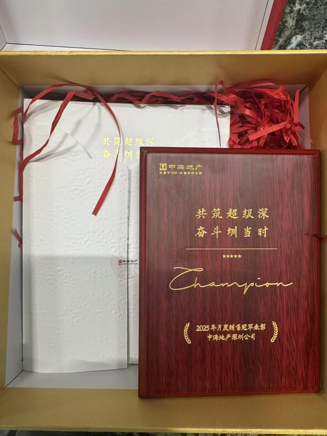 『深圳湾·澐玺』开发商置业顾问报道