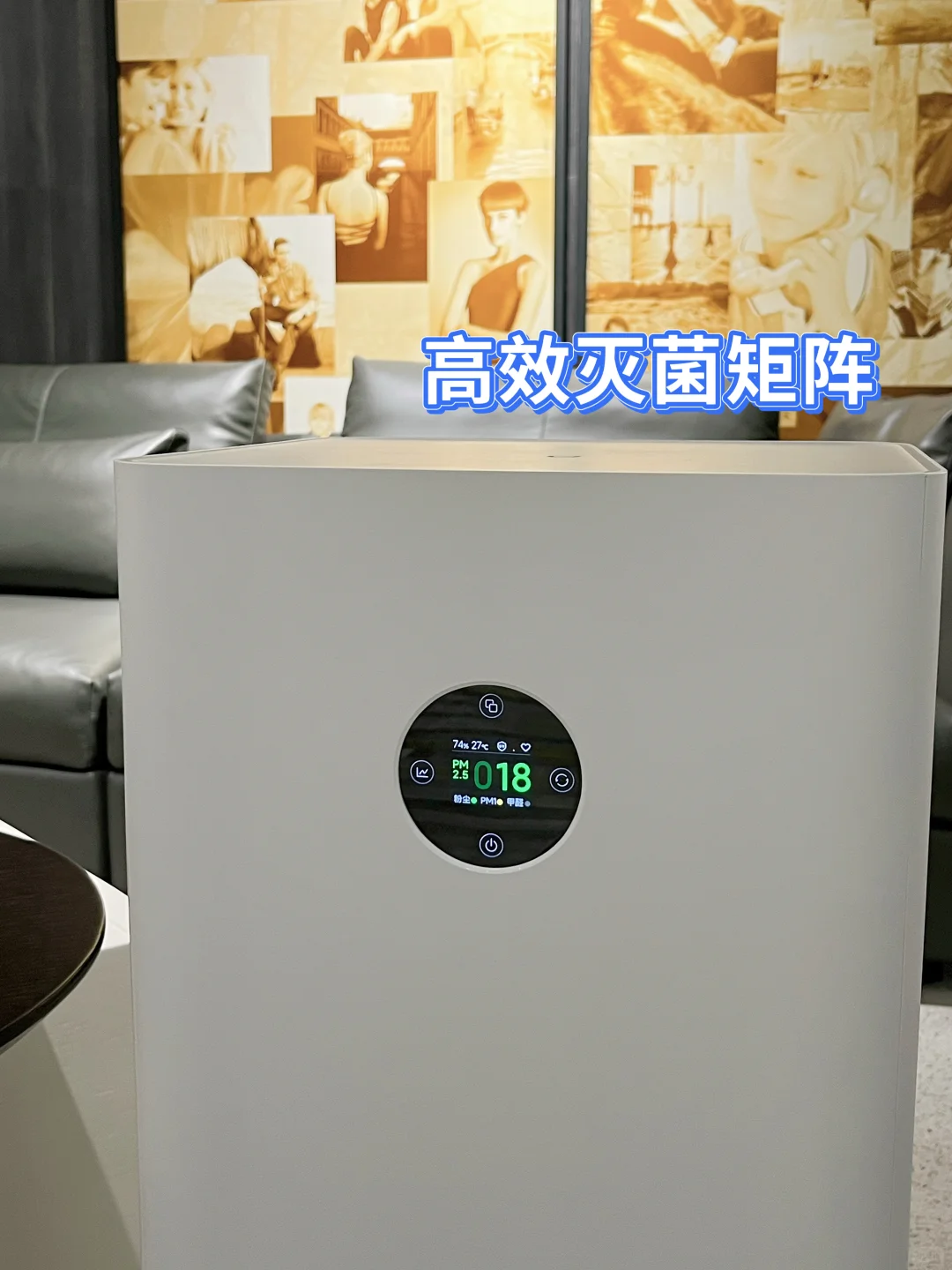 新房装修好了，却不能住，怎么办😭