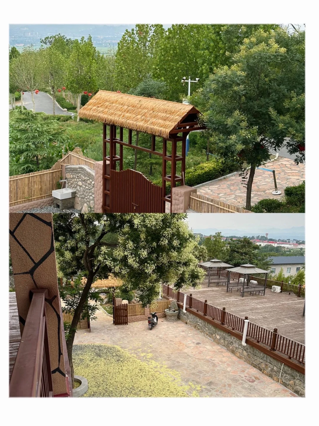 住进来就不想走的小窝！治愈了我的夏天