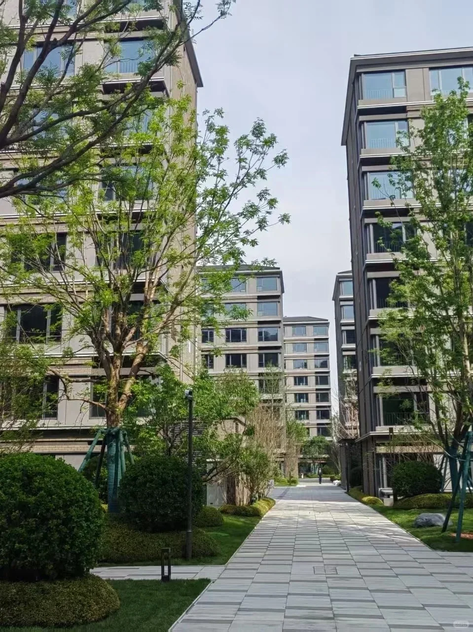 725万 买海淀新房 中关村三小 99㎡现房🏠