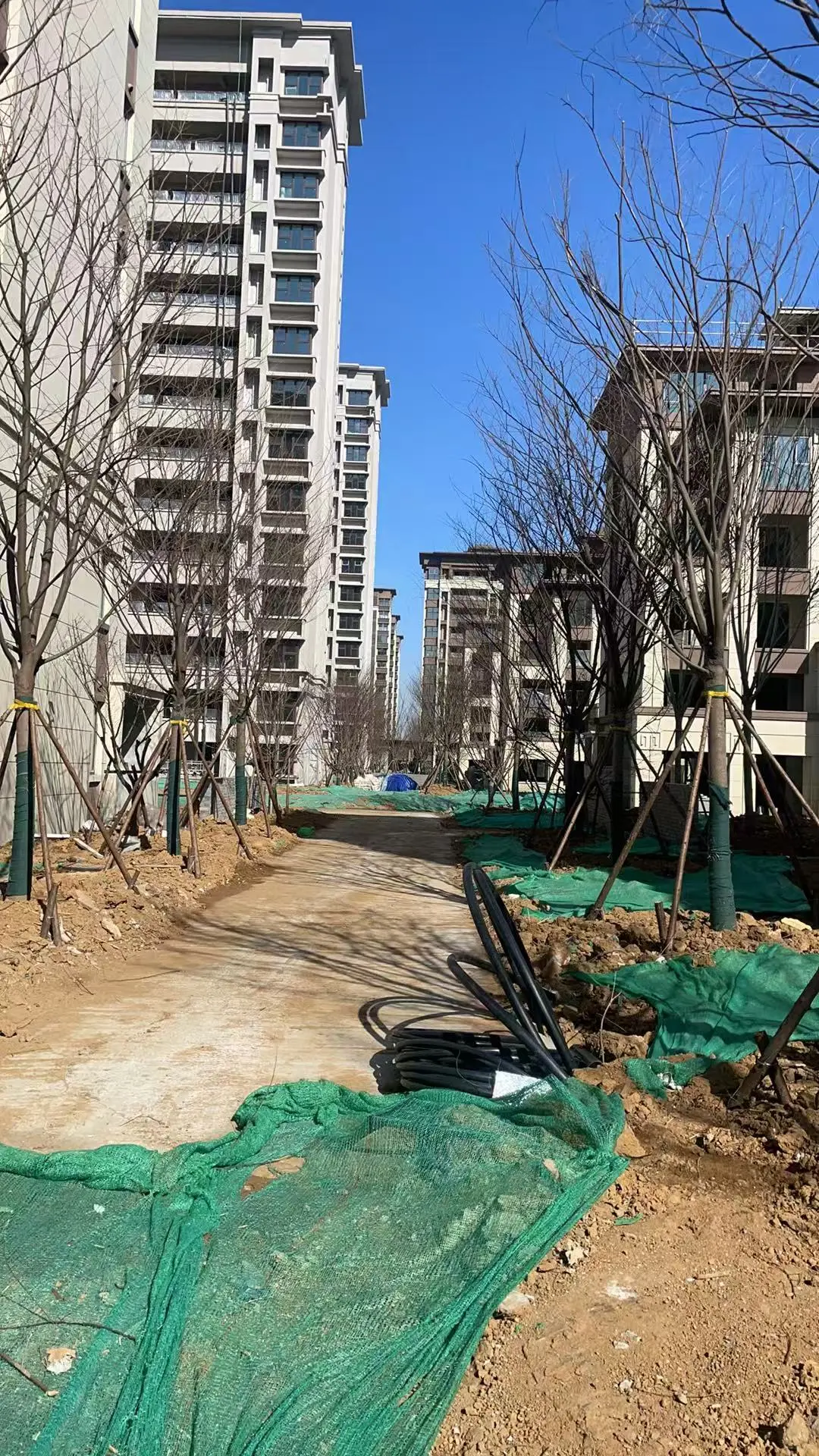 最近复看的一个准现房，嘴硬，死活不降价