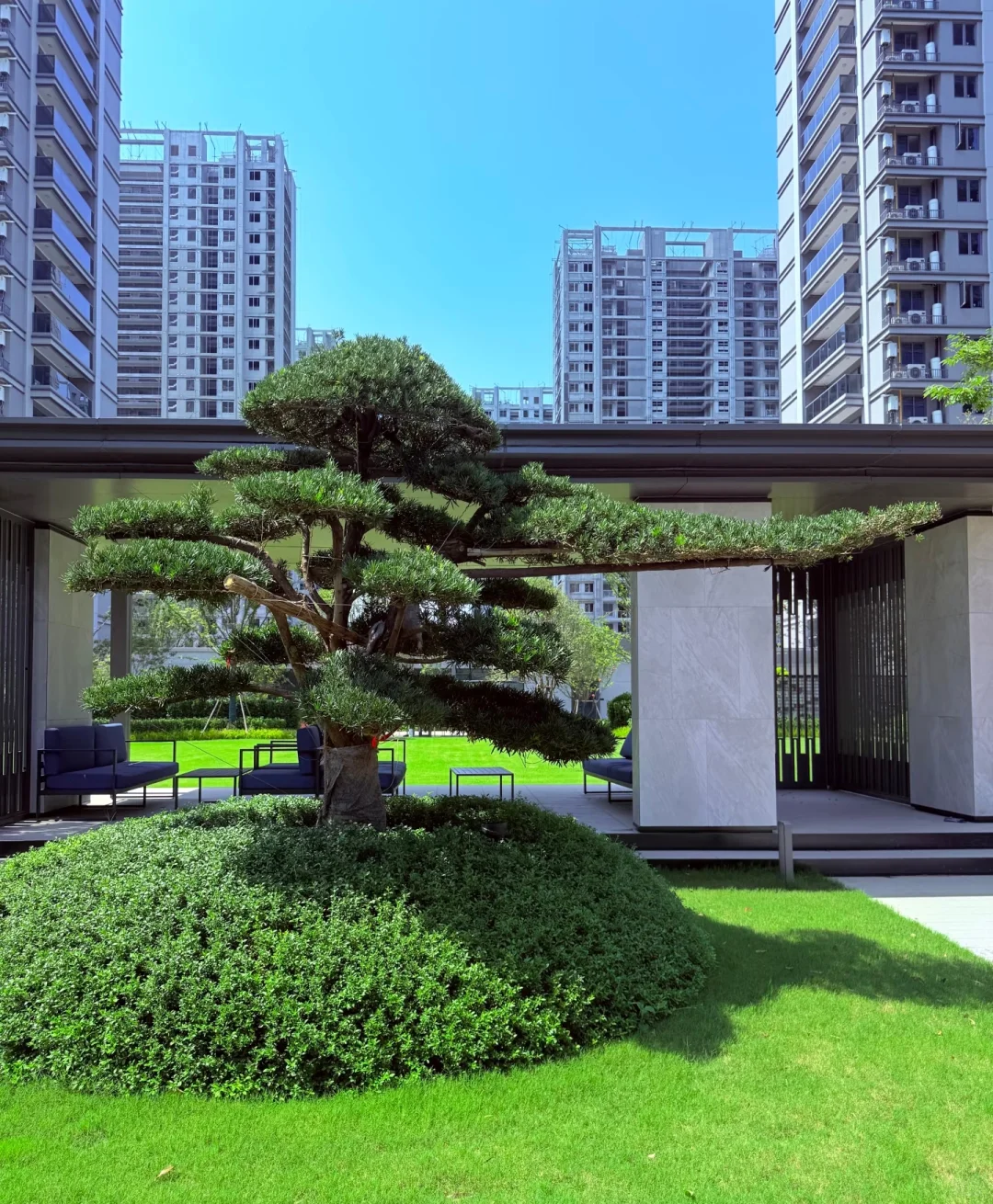 杭州钱江世纪城城新房出租