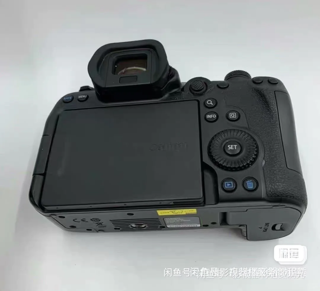 出租演唱会，拍动物相机镜头