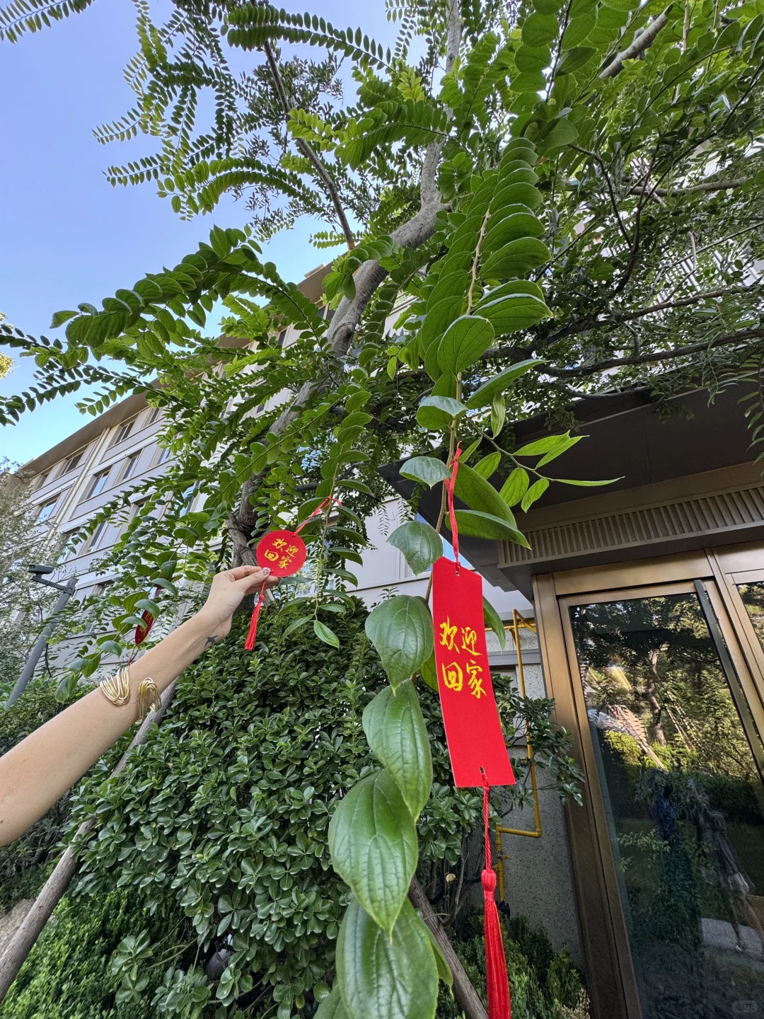 淄博！！靠自己全款！！提新房提前交付啦！！