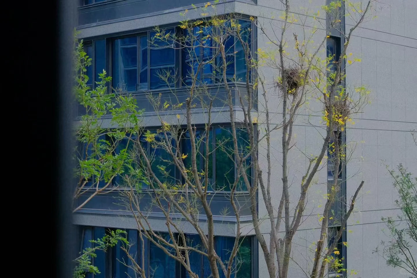 准现房到底香在哪？看完秒变懂房达人！🏠
