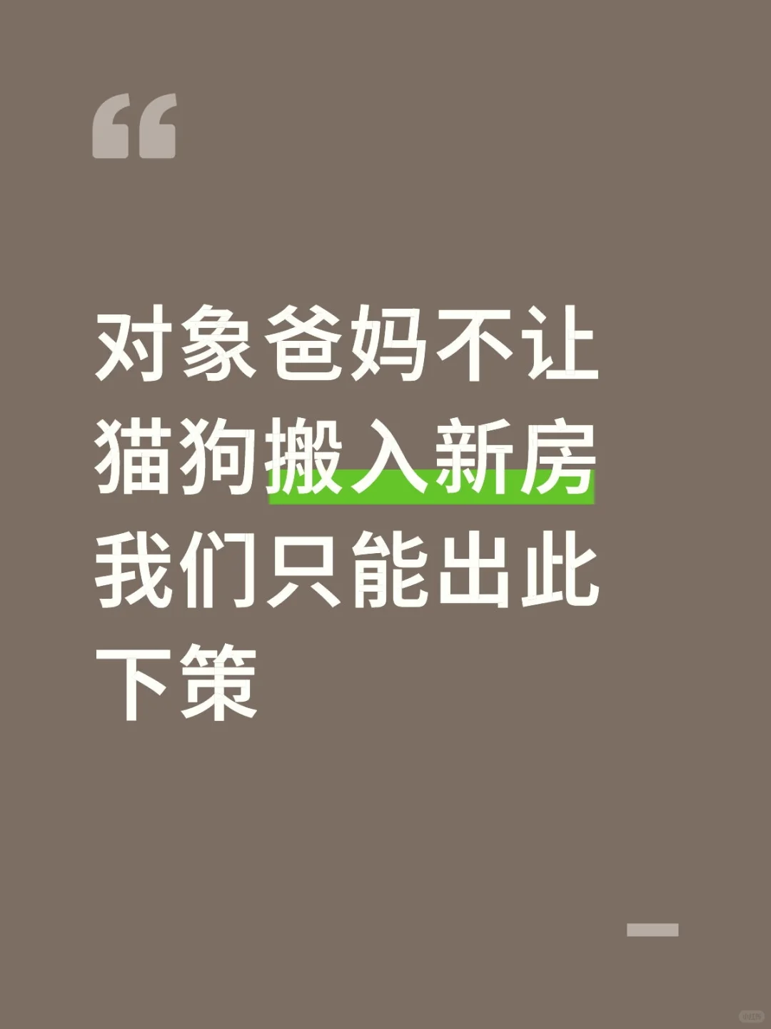 小号没有人认识 对象爸妈不让猫狗搬入新房