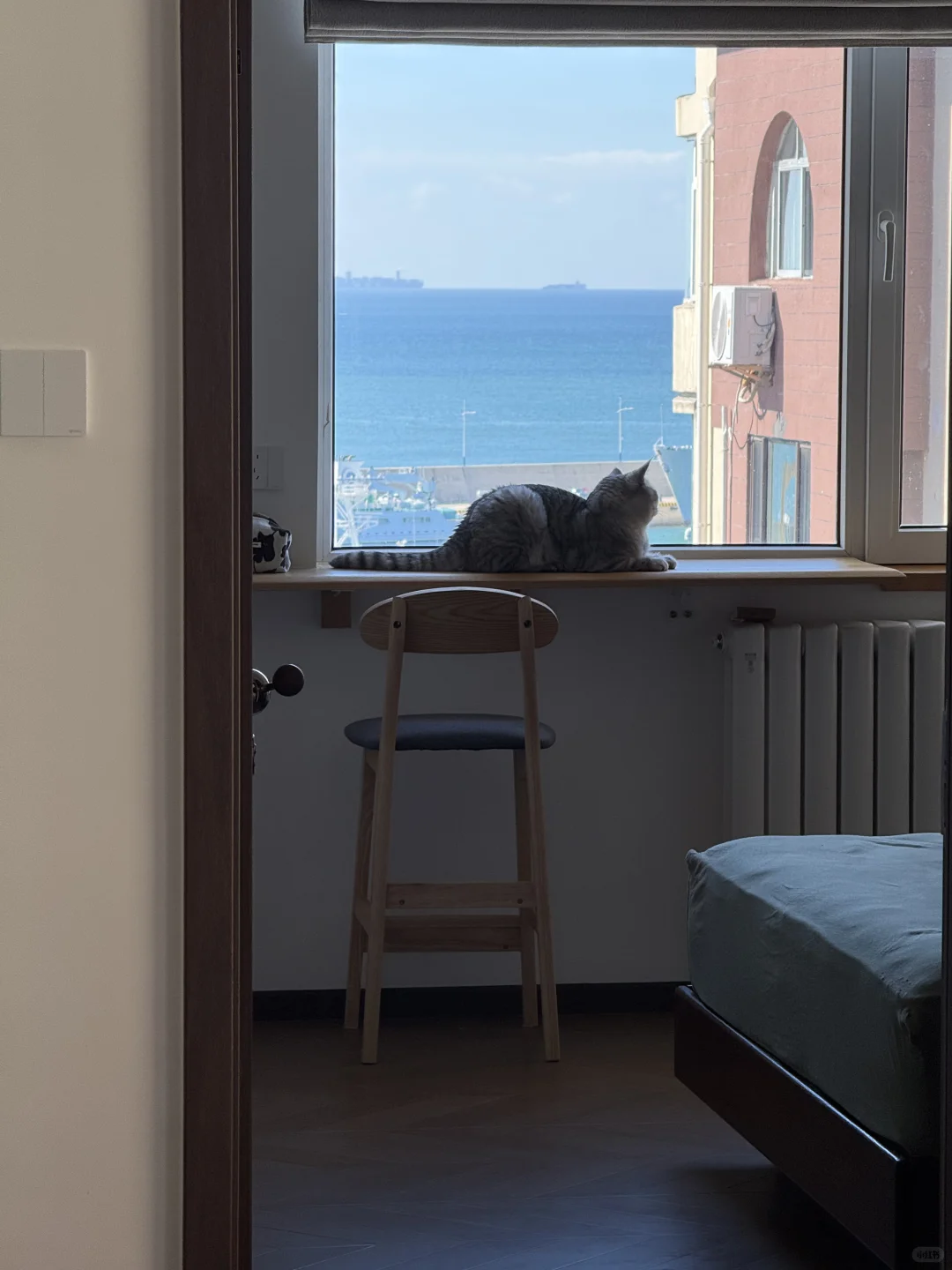 长大真好，可以住进喜欢的房子