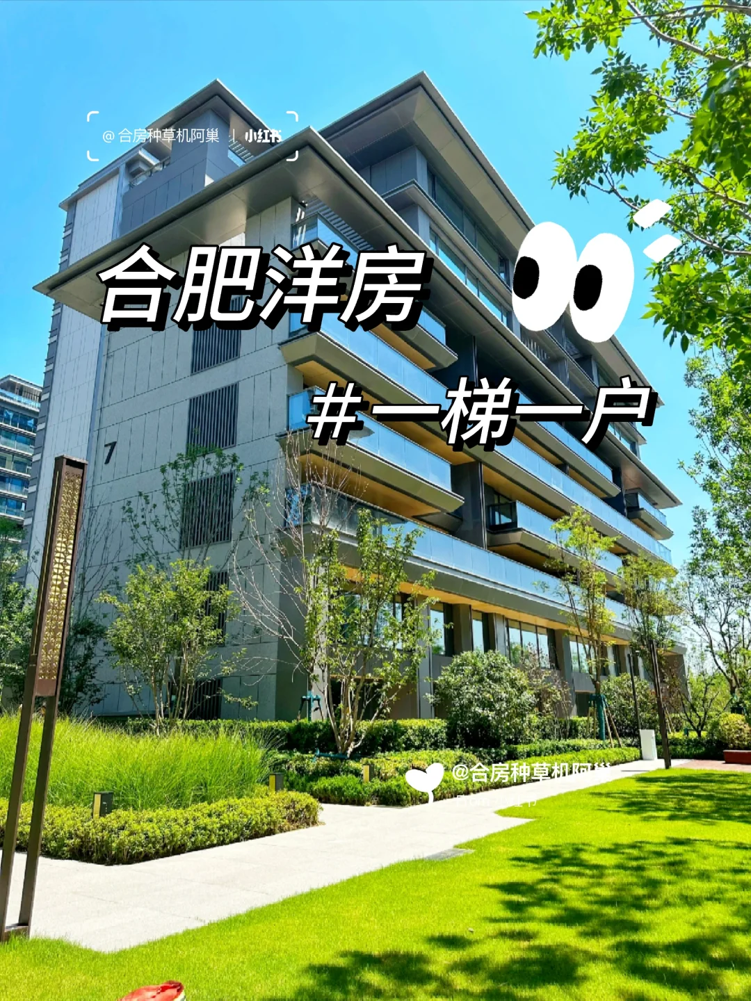 庐阳区北一环|185w|精装一梯一户洋房