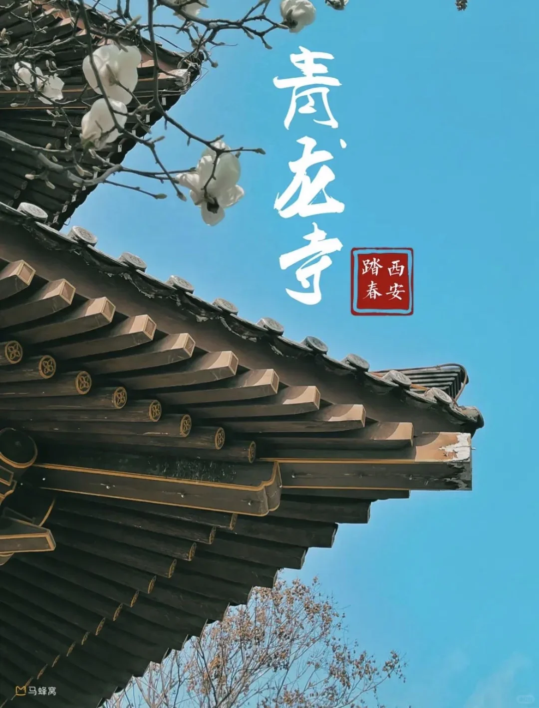 西安曲江🏠首付2万抢铁五学区房🎒