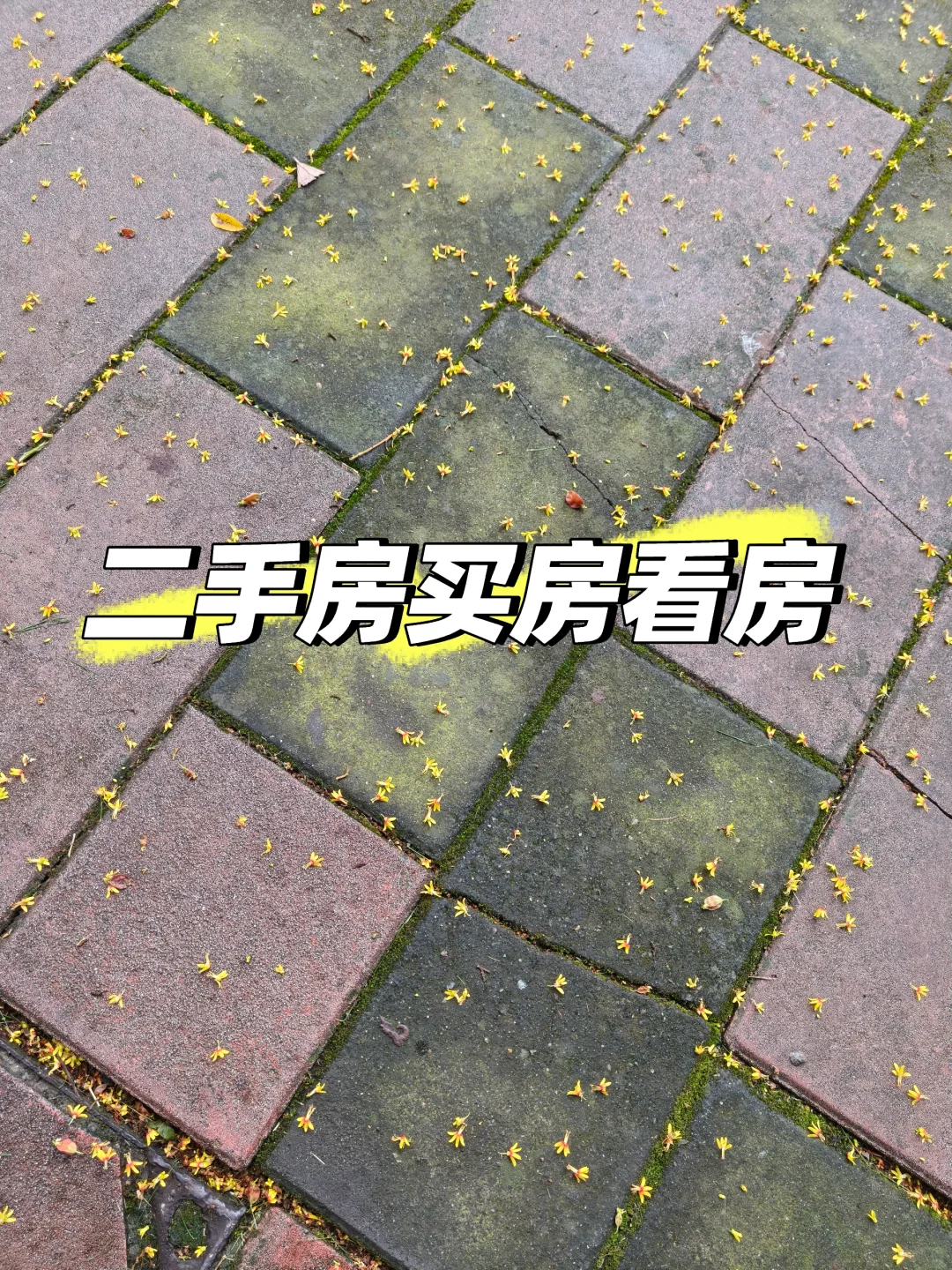二手房买房看房
