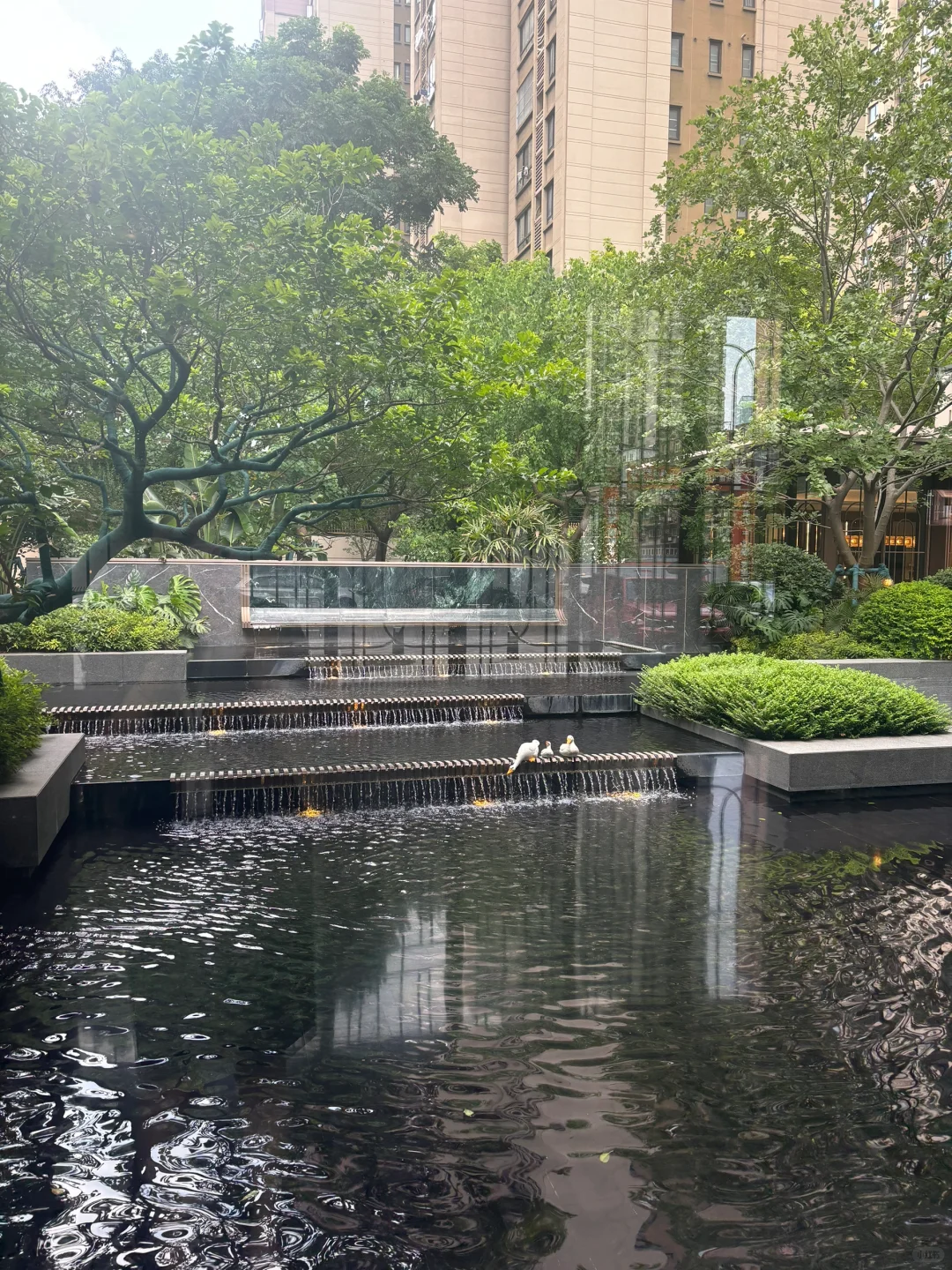 最近发现一个新小区的园林真的爱了🥰