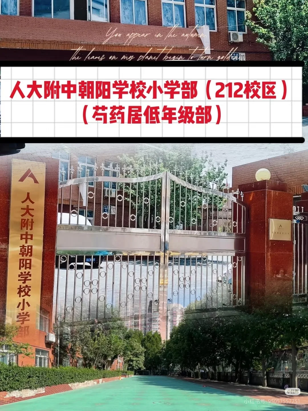芍药居~人大附朝阳学校~电梯房 房龄 梯户比