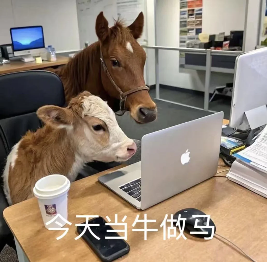存款2w冲3w首付！打工人买车计划公开✨