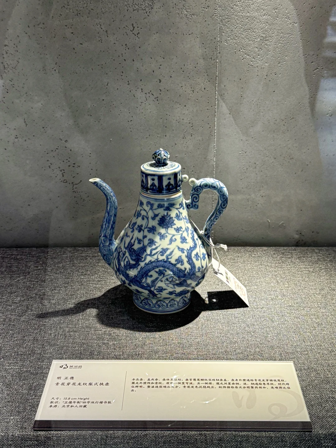 秦皇岛新.晋美术馆🎨人少又惬意！真的美！