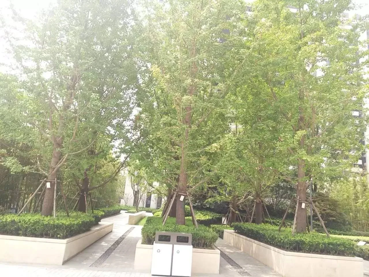 关于郑州的经适房补差政策提示。