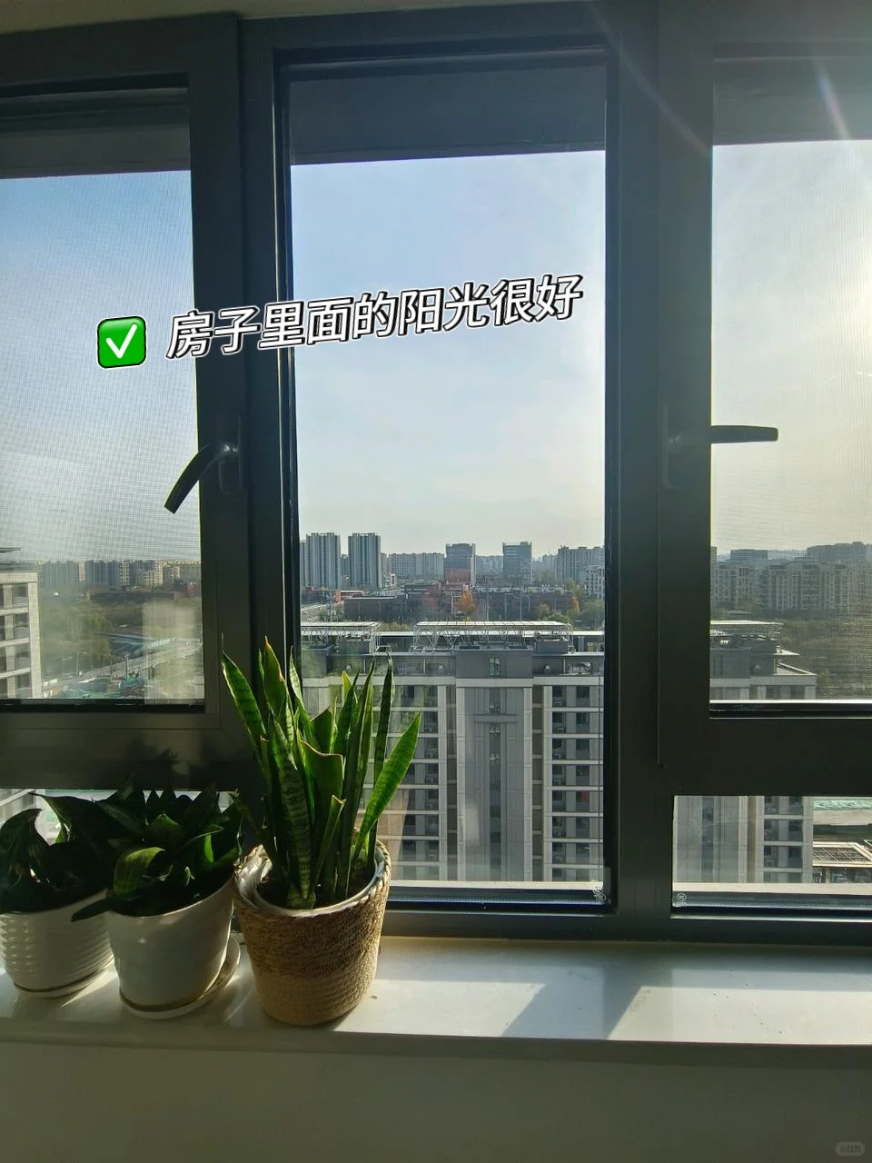 胆小勿入|捡漏一套回迁房！附真实操作分享