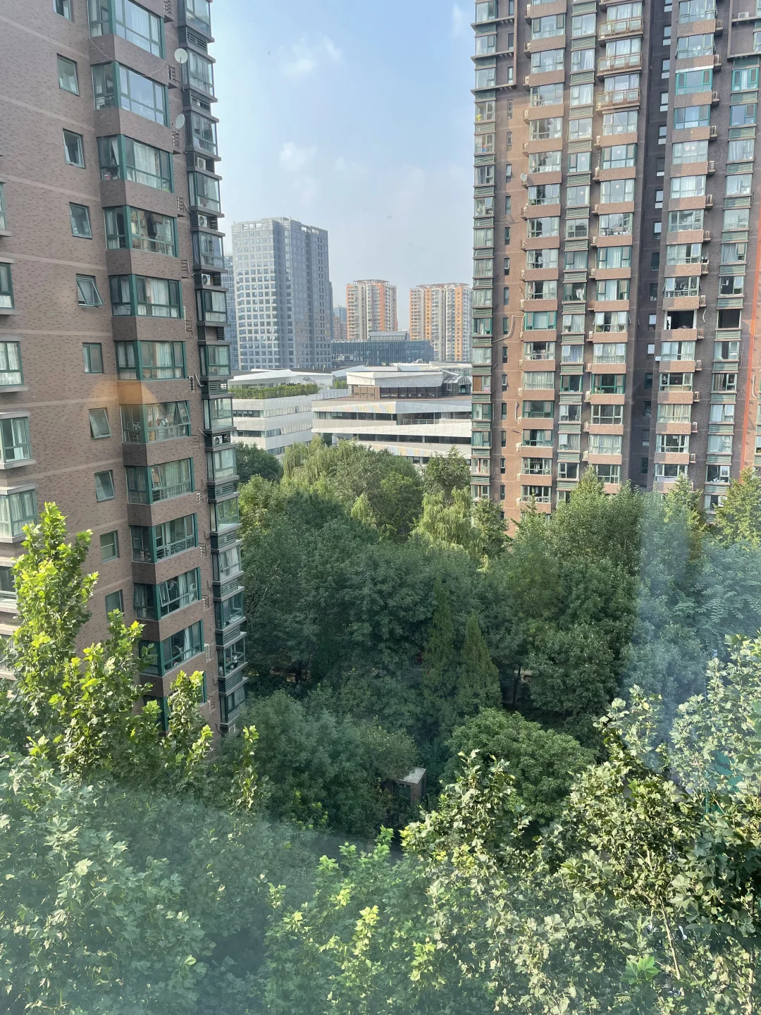 婚房首次出租，把景色收入窗中