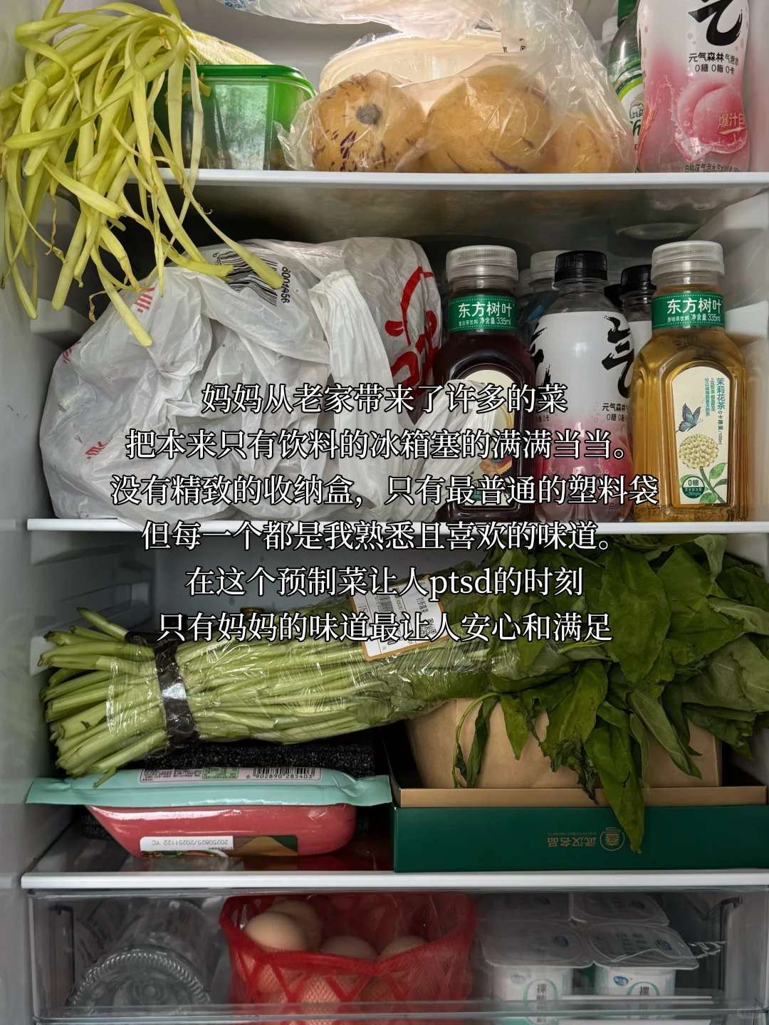 ✨运动博主的room tour✨