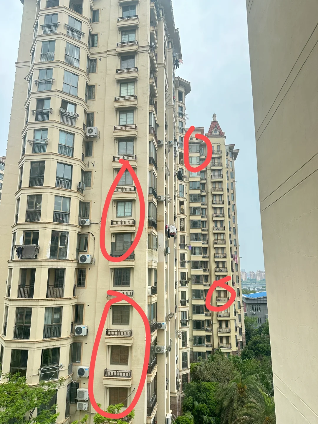 啊？有没有人救救我🆘