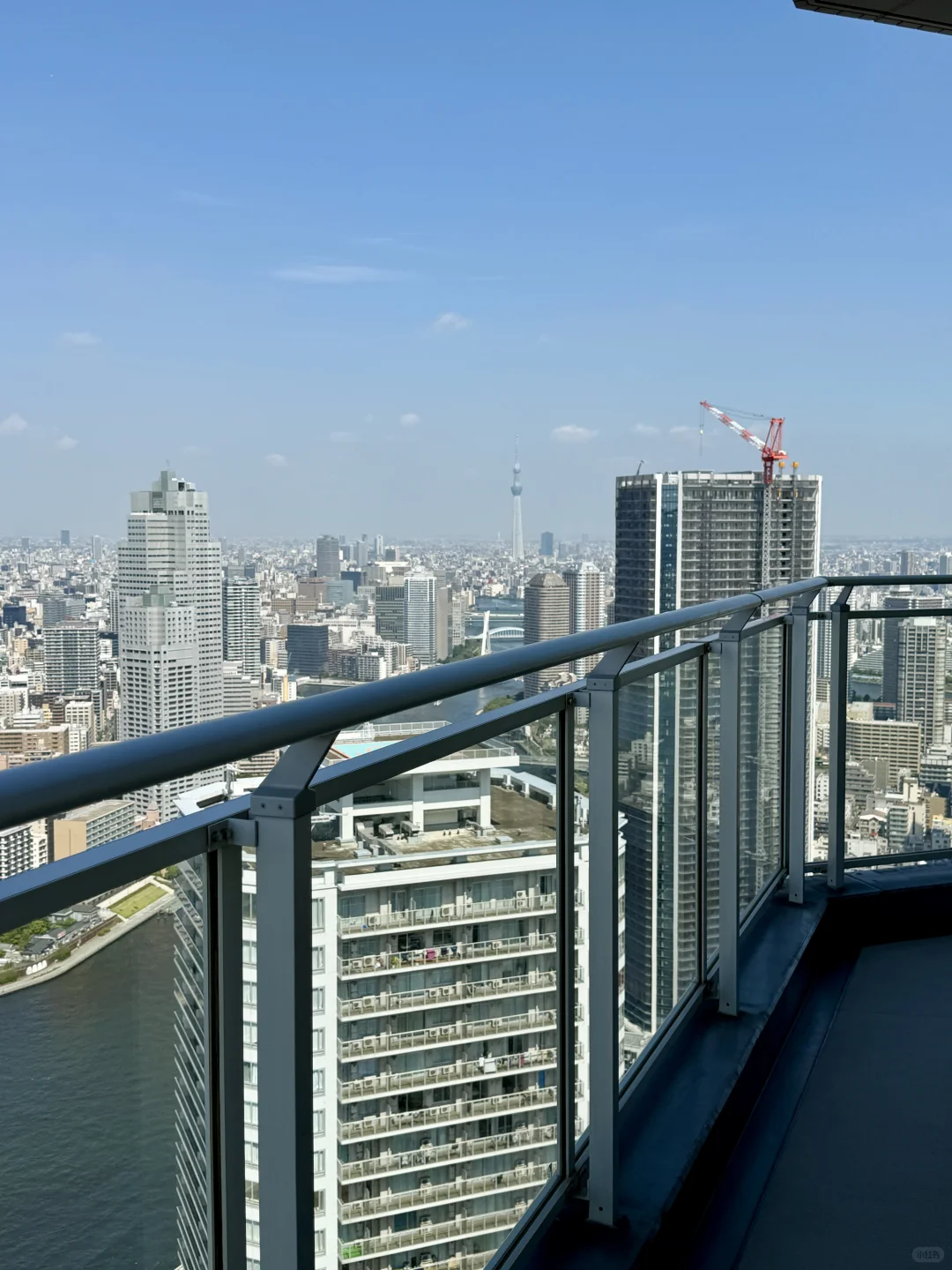 自从住进这个家，每天都想早点下半立马回家