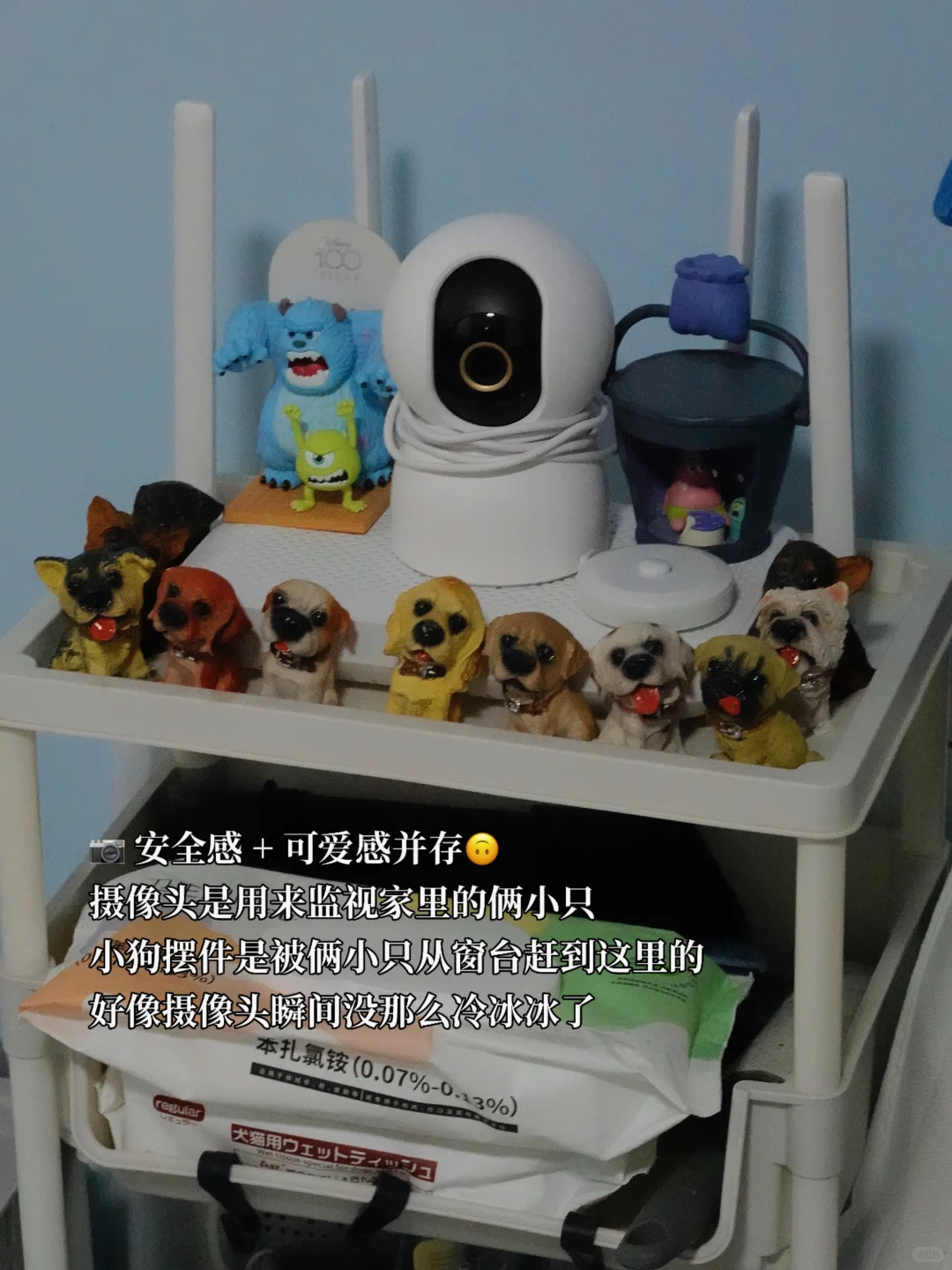 ✨运动博主的room tour✨