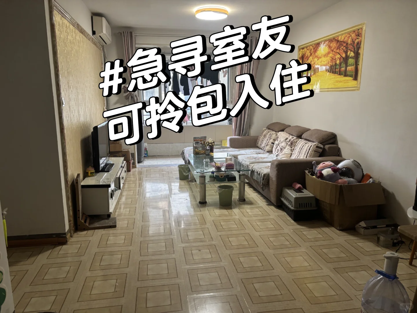 急寻室友 弘阳广场附近 直接拎包入住