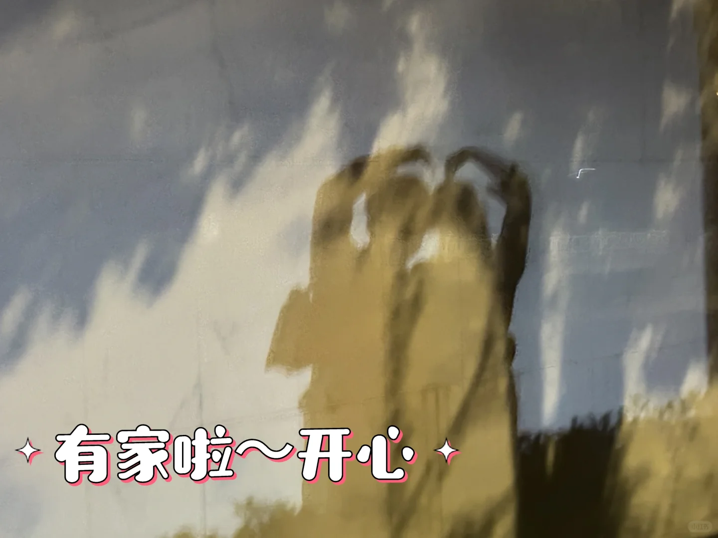 未婚情侣共同买房