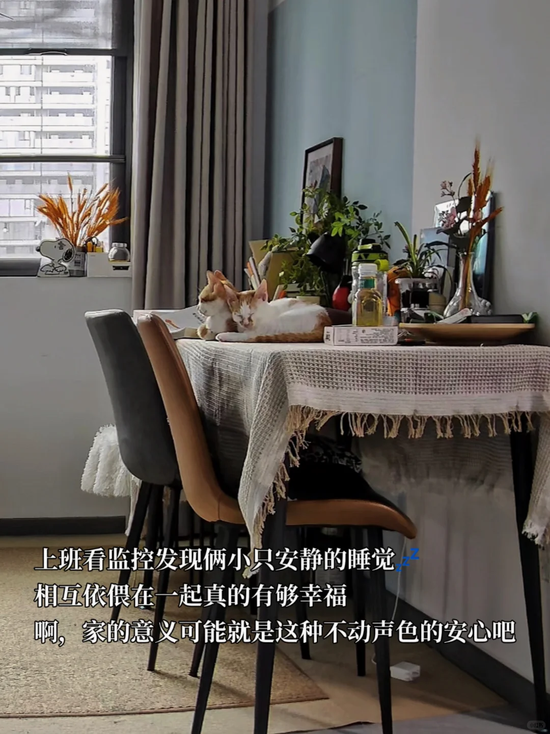 ✨运动博主的room tour✨
