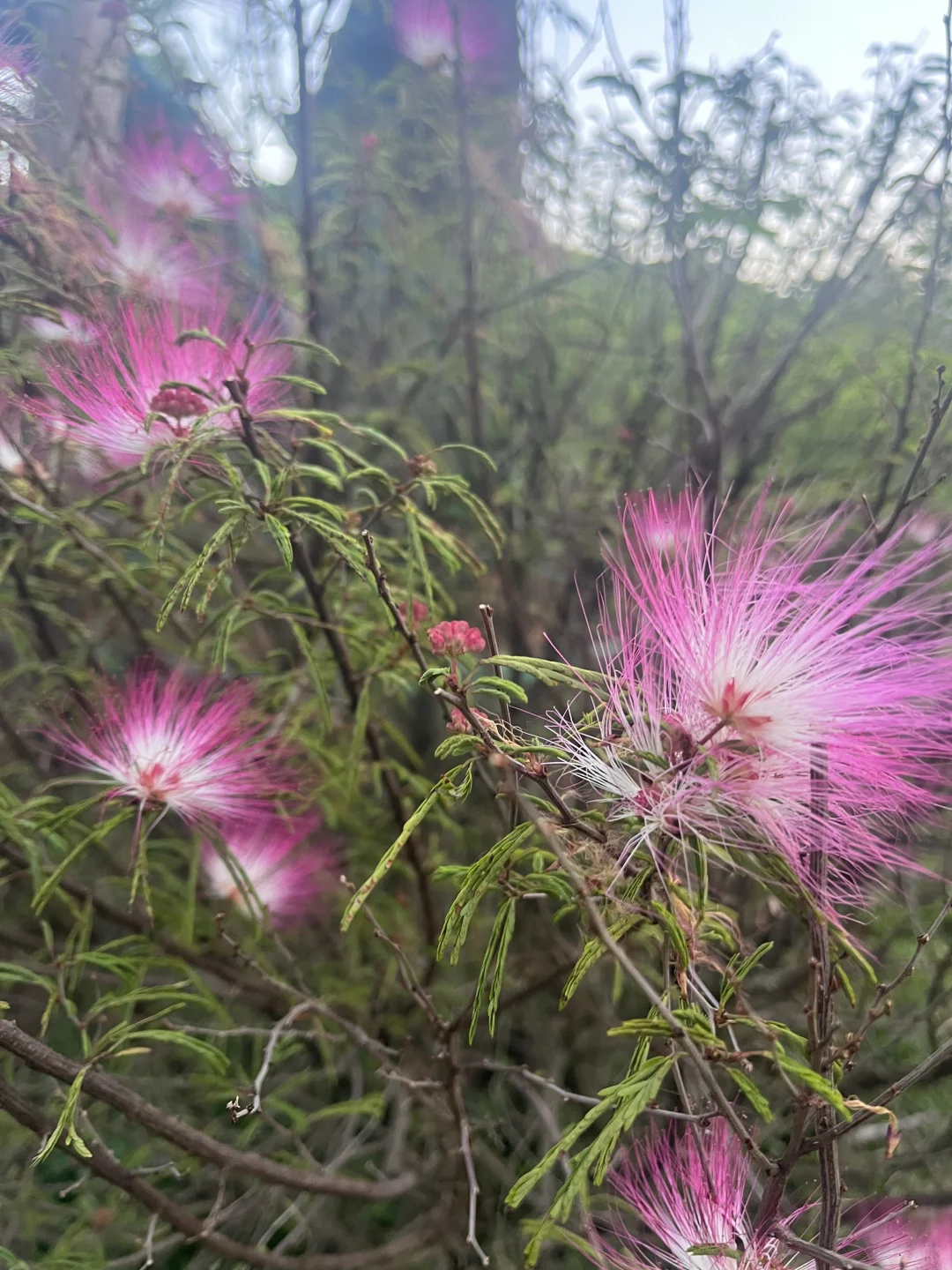 花溪如何选择开发商？