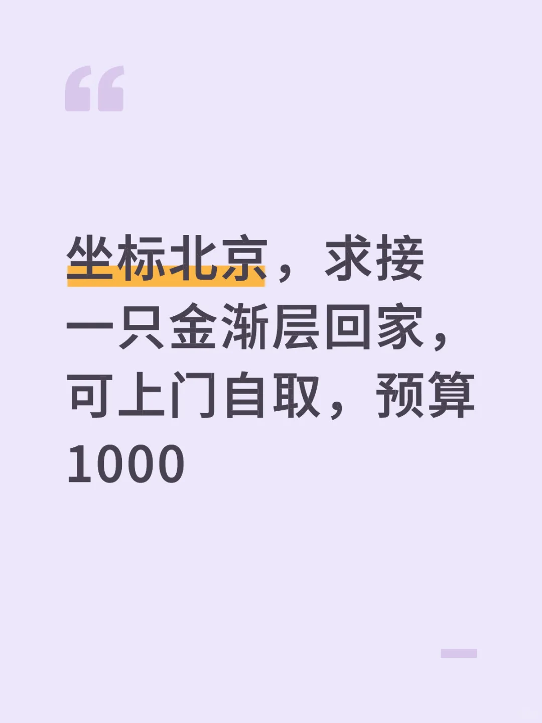 坐标北京 求购一只金渐层bb