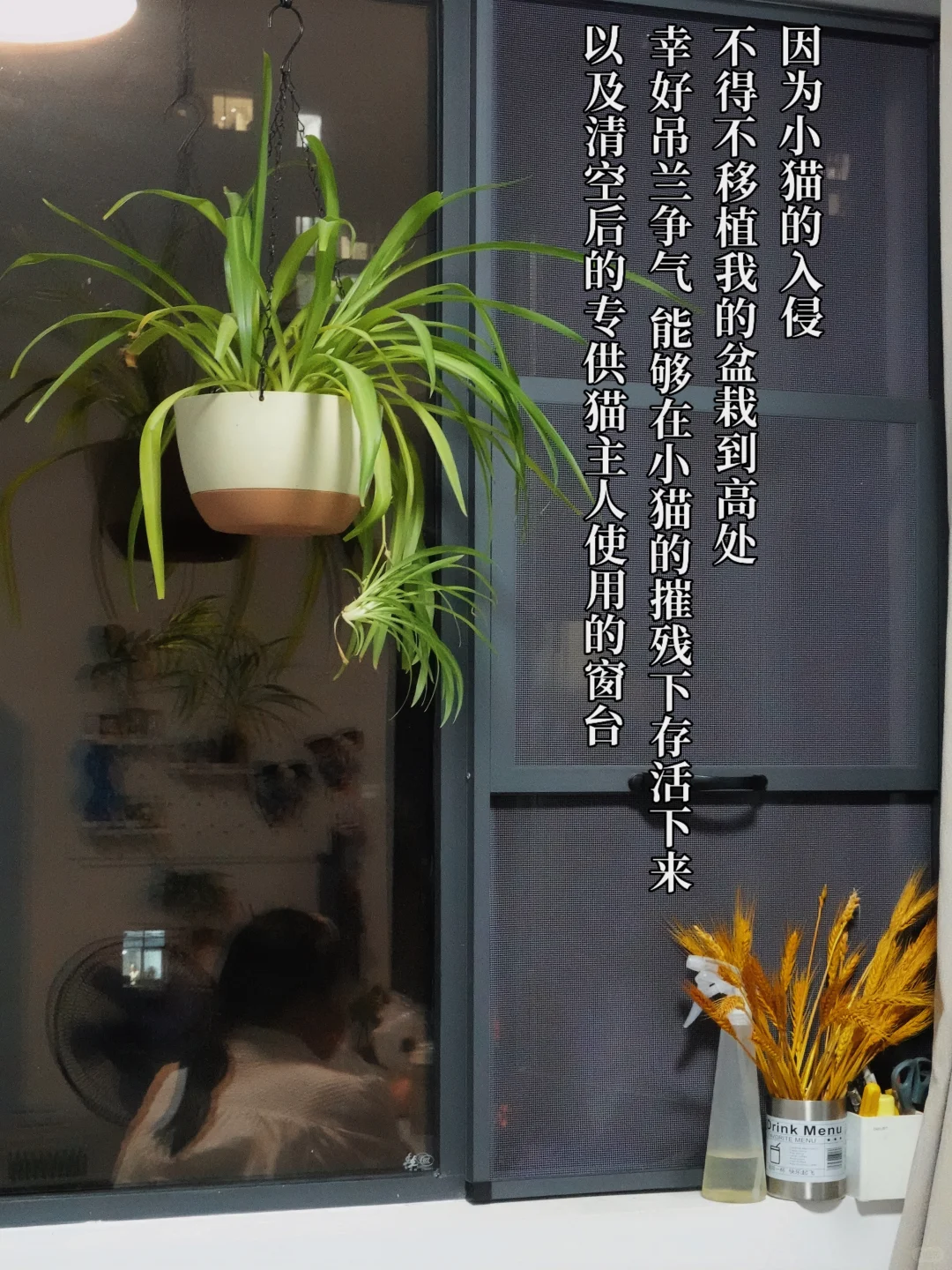 ✨运动博主的room tour✨