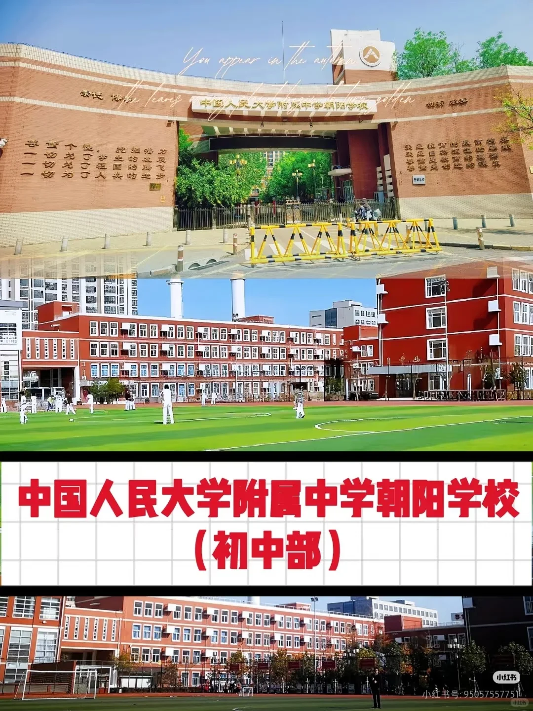 芍药居~人大附朝阳学校~电梯房 房龄 梯户比