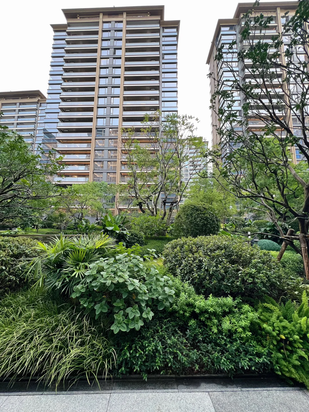 广州📍天河｜棠东 保利天瑞 新楼盘 收楼啦～