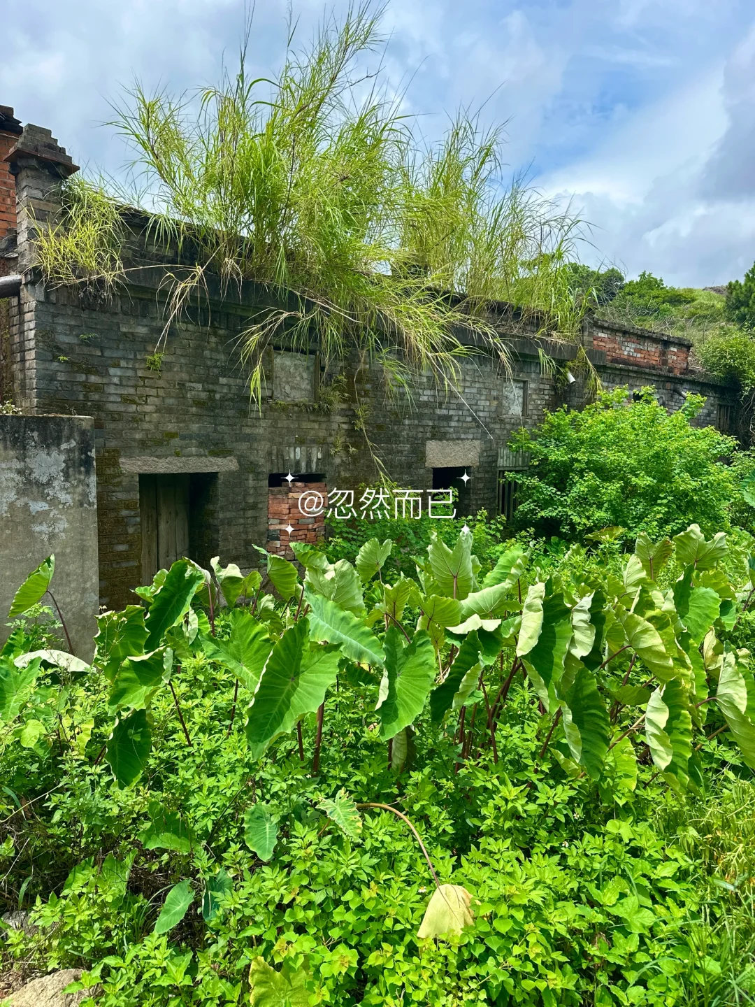 一位离去多年的老爷爷，他出生于100年前…