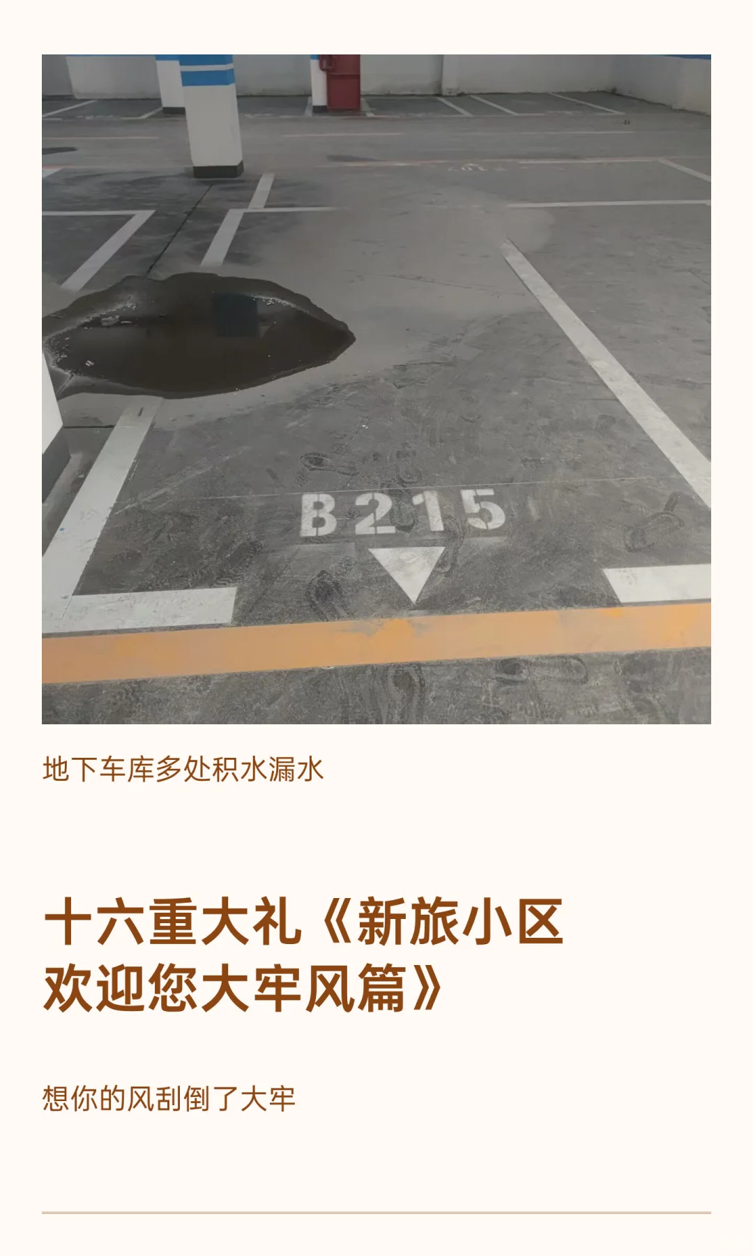 新旅青山湖房屋交付标准