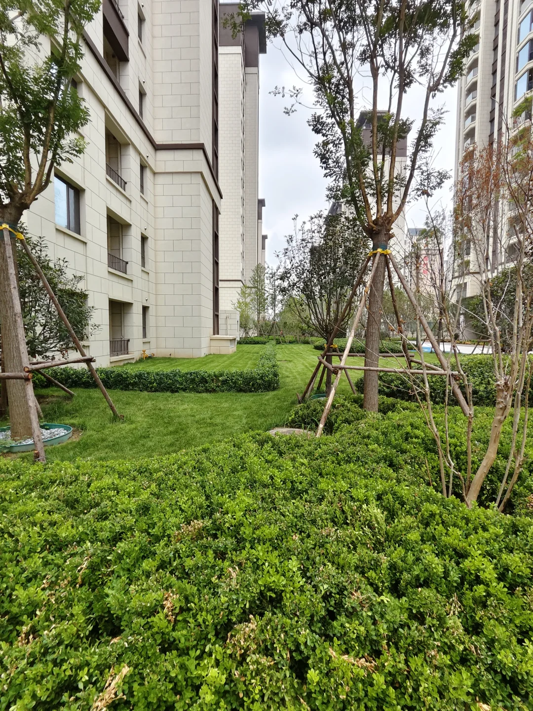 这是小区真的太美了，让我最心动的小区