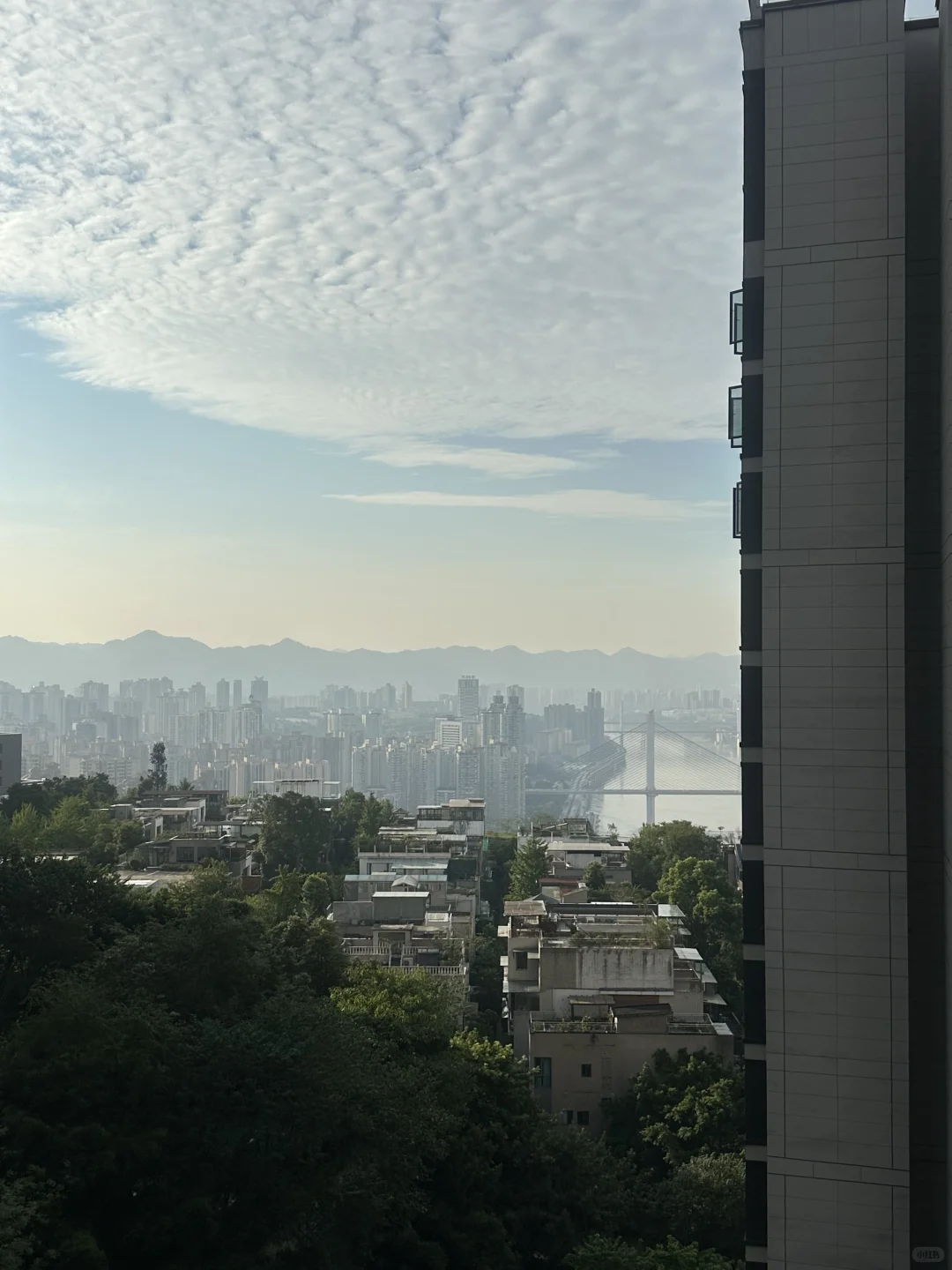 快来捡漏｜品质精装现房，爆款加推直降30万‼️