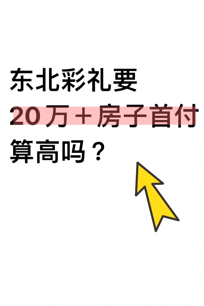 东北彩礼要20万+房子首付算高吗
