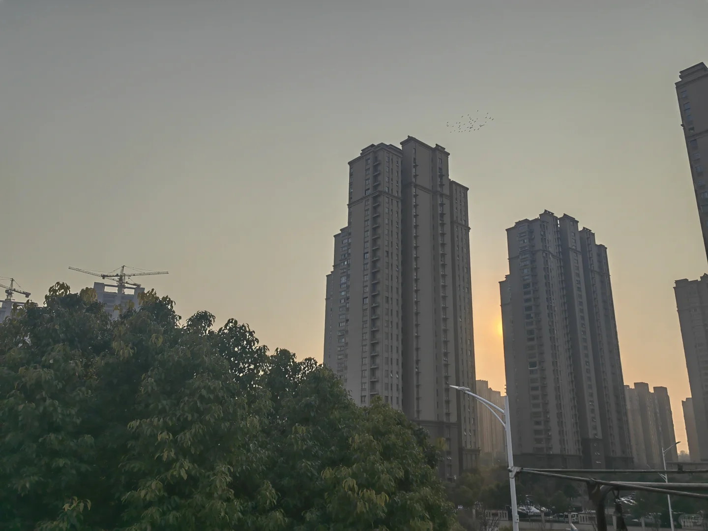 经适房过高挡住了其东北面商品小区的阳光