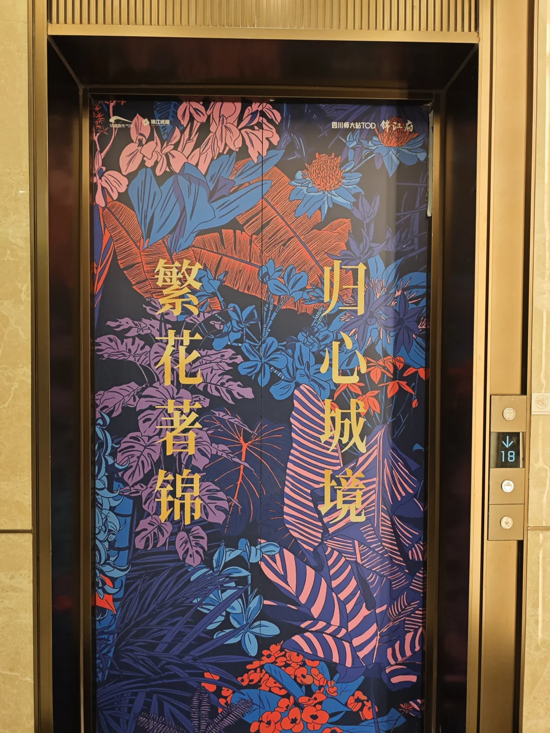 四川师大站tod锦江府，交房了