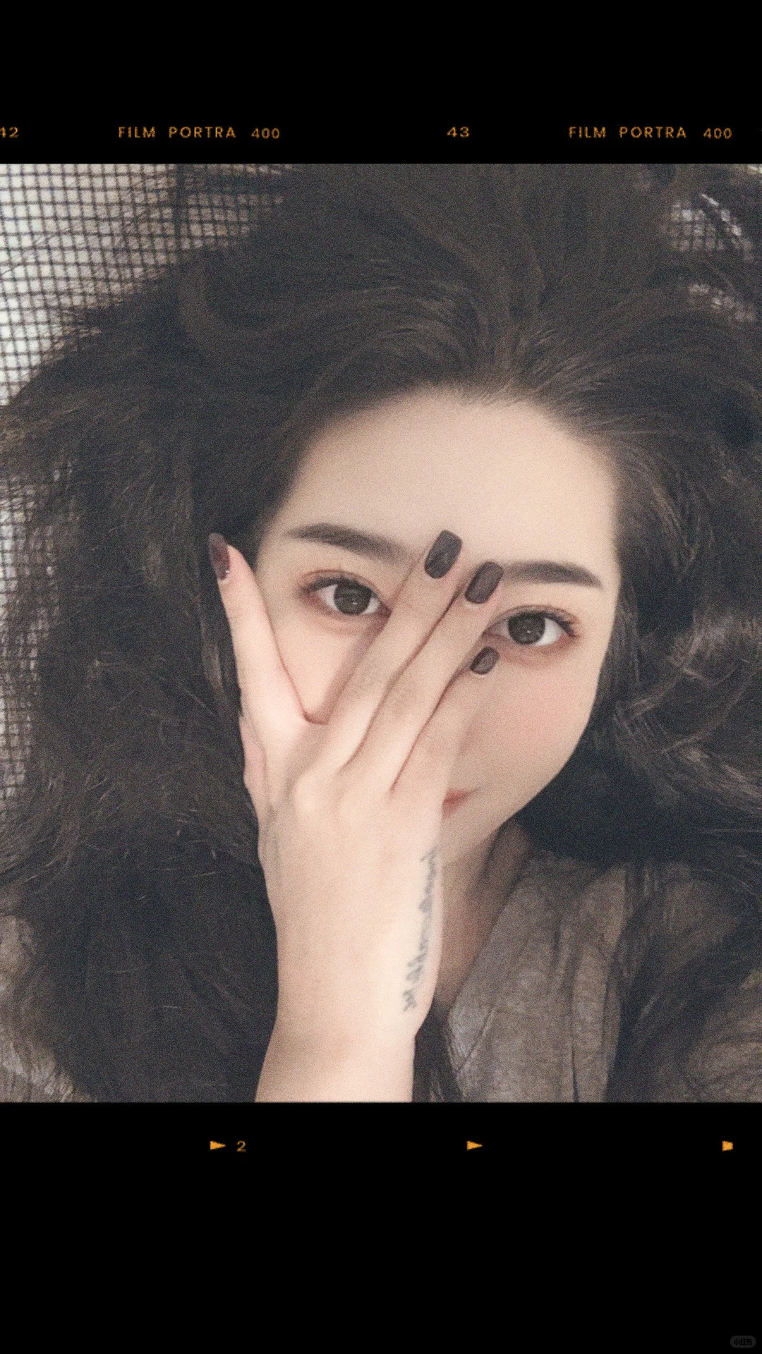 求购一只小体泰迪或者比熊