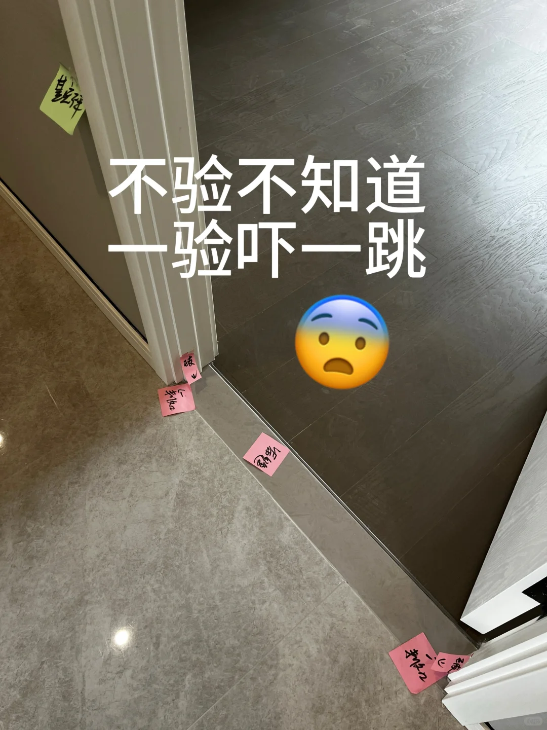 终于等到开放日啦～